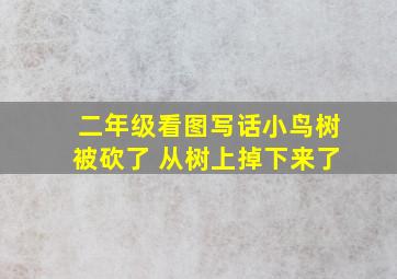 二年级看图写话小鸟树被砍了 从树上掉下来了